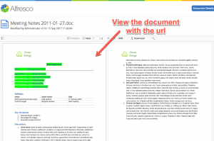 Document view using the link url