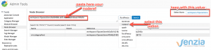 Launching node browser