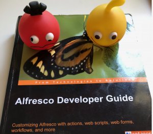Alfresco developer book with locoroco