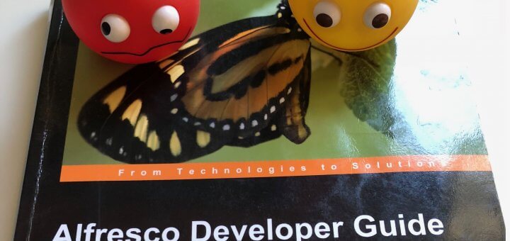 Alfresco developer book with locoroco